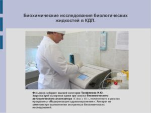 Отчет аттестационный на высшую категорию врача лаборанта кдл образец